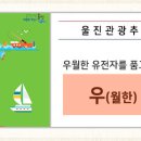 고초령 산양삼 이미지