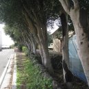 남원읍-8 이미지