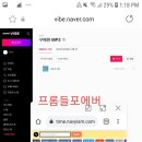 프롬들 Daum카페