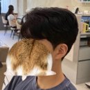 다올헤어 | [마곡/발산] 남자머리맛집 다올헤어 마곡발산점 솔직후기
