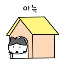 첼시즈 이미지