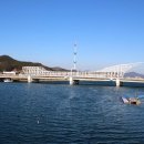 강구항 이미지