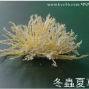 김영칠농장 이미지