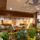 김참치 | [압구정/신사] 김수사 김참치 / 가성비 런치 오마카세 아쉬웠던 후기