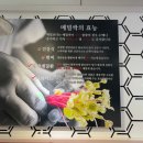해운대 고메밀면 | *해운대 고메밀면 * 해운대 밀면 추천 *