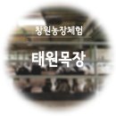 기덕농장 | 창원태원목장 :: 아이와 목장체험후기