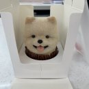 와들스 케이크 이미지