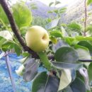 윤성농장 이미지