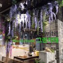 포항실내조경