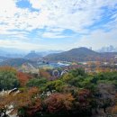 두류공원 이미지