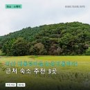 신암전통테마마을 | 아산 대통령마을(농촌전통테마) 근처 숙소 3곳: 후기 장단점·위치 비교