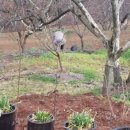 미현농장 이미지