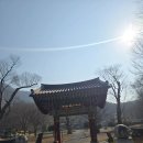 보덕유치원 | 단종 장릉을 수호하는 사찰 영월 보덕사