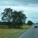 모터웨이 이미지