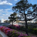 강남-267 이미지