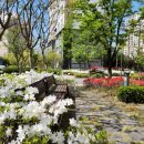 엘지슈퍼렛 이미지