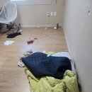 (주)휴안 | 재방문 고객님의 긴급 요청! 도평휴안1차 쓰레기 정리 및 거주청소 진행 후기
