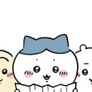 다윗청소 이미지