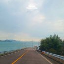 용바위 농원 네이버블로그