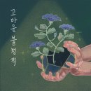 안양대학교 글로벌대학원 OSEN