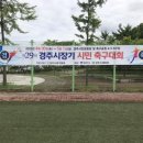 황성공원 축구공원 1구장 이미지