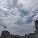 문흥지구 허가네 산약초오리 (soso..)