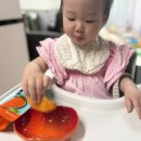 아이 건강간식 아비삭과일칩 후기