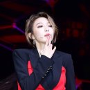 다미 이미지