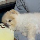 라페PC방 이미지