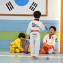 호신태권도 이미지