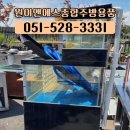 활어종합수족관 이미지