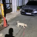 소디스에스프레소바 성건점 이미지
