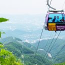 대인카프라자 이미지