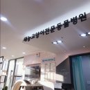 태능동물병원 이미지