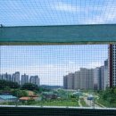 태권인 태권도장 이미지