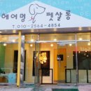 헤어멍펫살롱 이미지