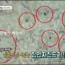 태진세탁