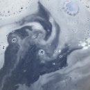 네이쳐 위클리 이미지