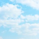 캘리그라피(주간) 이미지