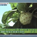 정우물산 이미지