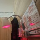 365정석한의원 이미지