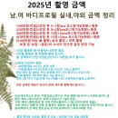 도리스스튜디오