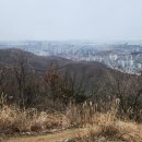 새벌농장 이미지