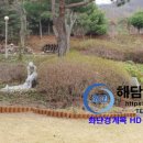 자연목 이미지