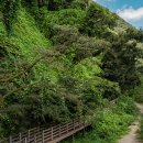 향수100리길 이미지