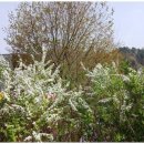 모나코펜션 이미지