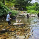 하늘아래별천지민박 이미지