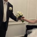 더셀럽 | 더노트(the knot) 아이폰스냅 셀럽앤어셈 본식 후기