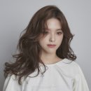 제주장애인야간학교 | 제주시 미용실 베스트 추천 top 10