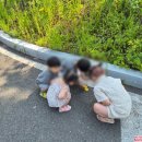 돔펜션2 | 대구 군위 삼국유사테마파크 역사돔 펜션 후기